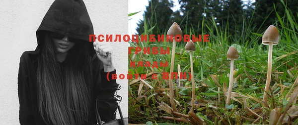 каннабис Осинники