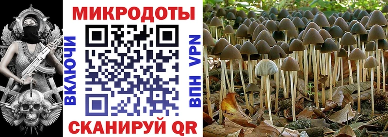 Купить  Кочубеевское  Псилоцибиновые грибы ЛСД 